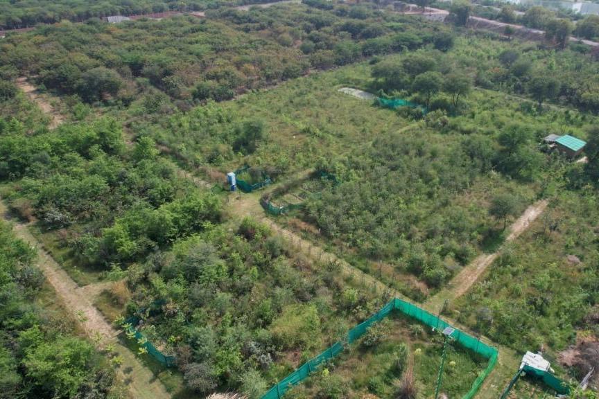 A Journey Towards Ecological Restoration and Community Stewardship